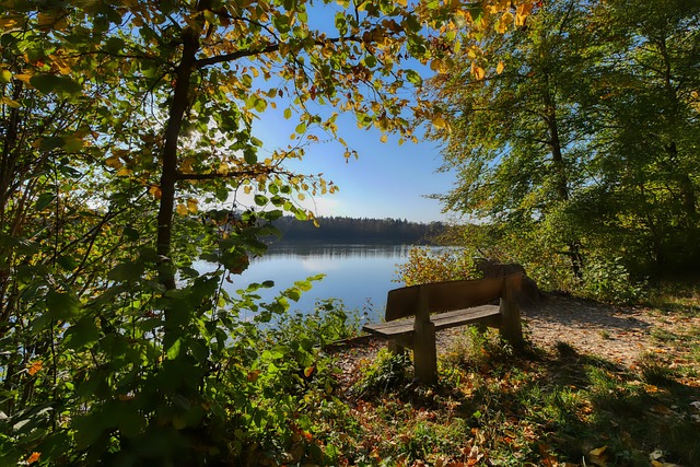 奥林匹克球 奥林匹克球