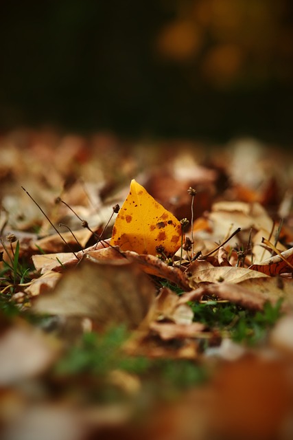 在全球化与 在全球化与