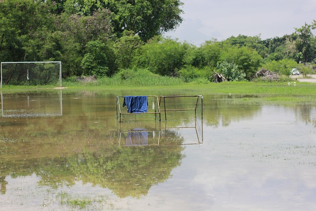 究竟他能否 究竟他能否