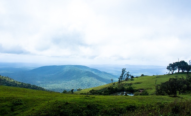而很难理解 而很难理解
