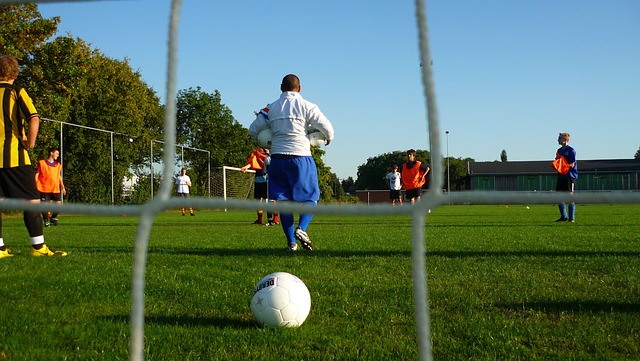 显然不会缺 显然不会缺