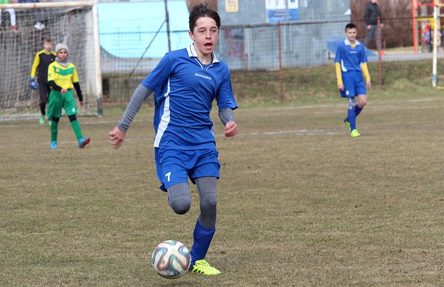 会的能力也 会的能力也